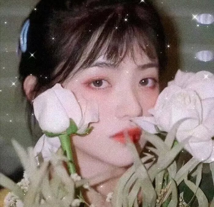 梅露丝